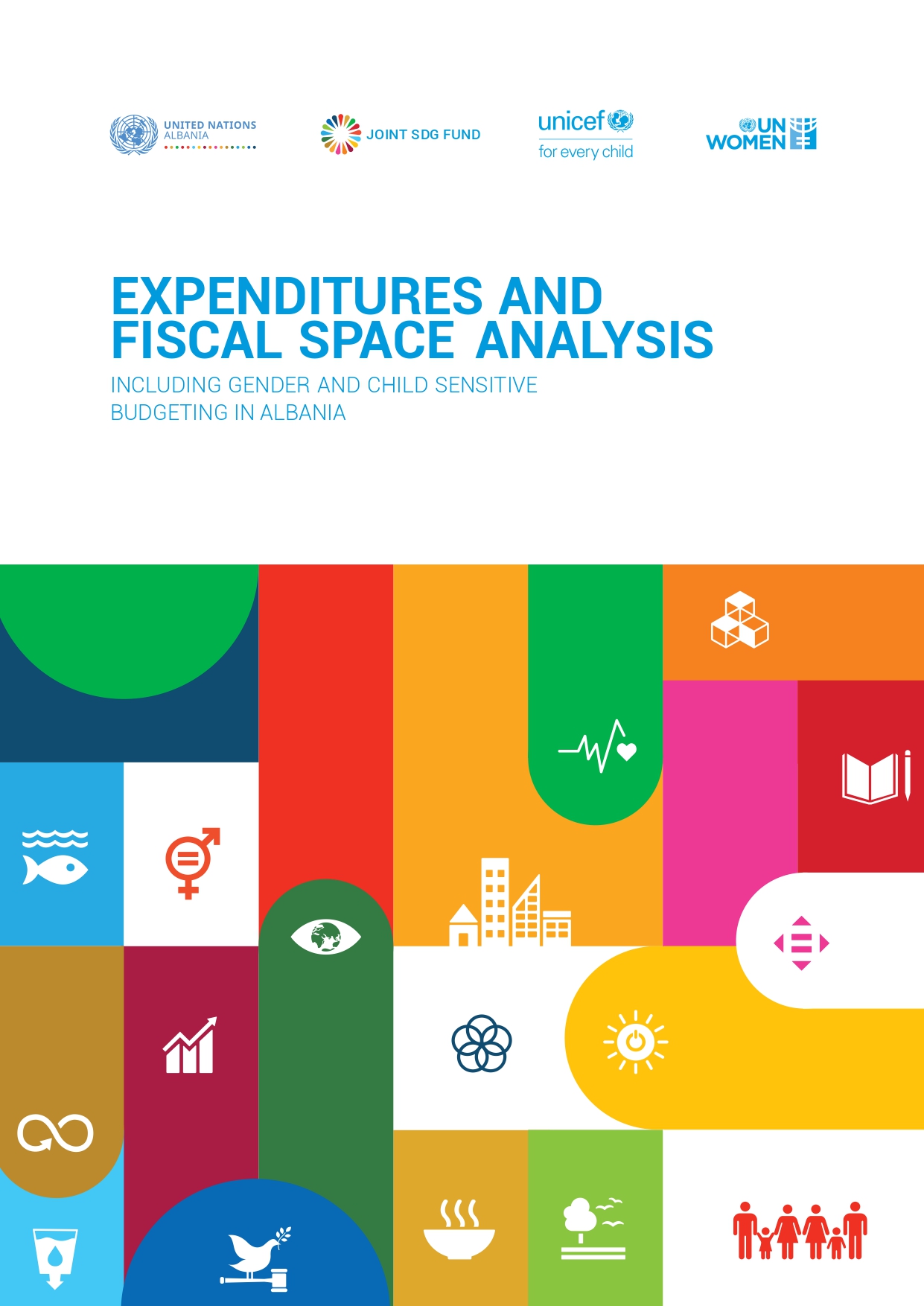 Expenditures and fiscal space analysis - cover