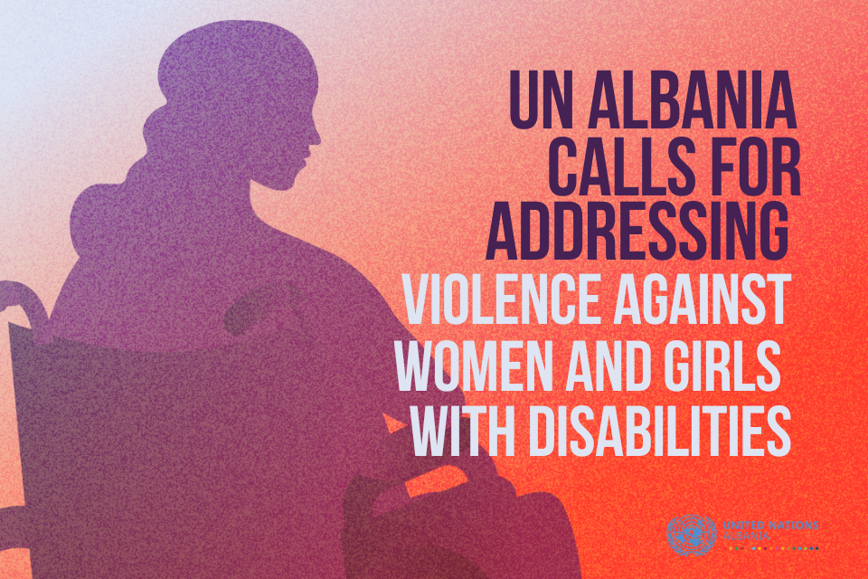 UN Albania calls for addressing Violence Against Women and Girls with Disabilities - Graphic