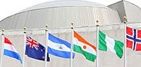 International partners